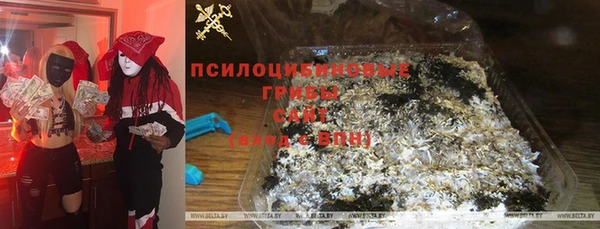 гидра Алексеевка